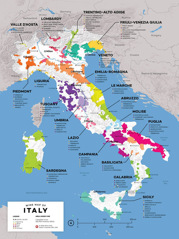 Italian Wine Exploration Map - Spades Wines & Spirits 