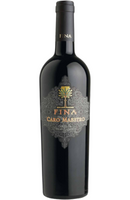 Fina Vini Caro Maestro Terre Siciliane Rosso 75cl – Premium Sicilian Red Wine with Rich Flavors and Complex Aromas from Spades Wines & Spirits