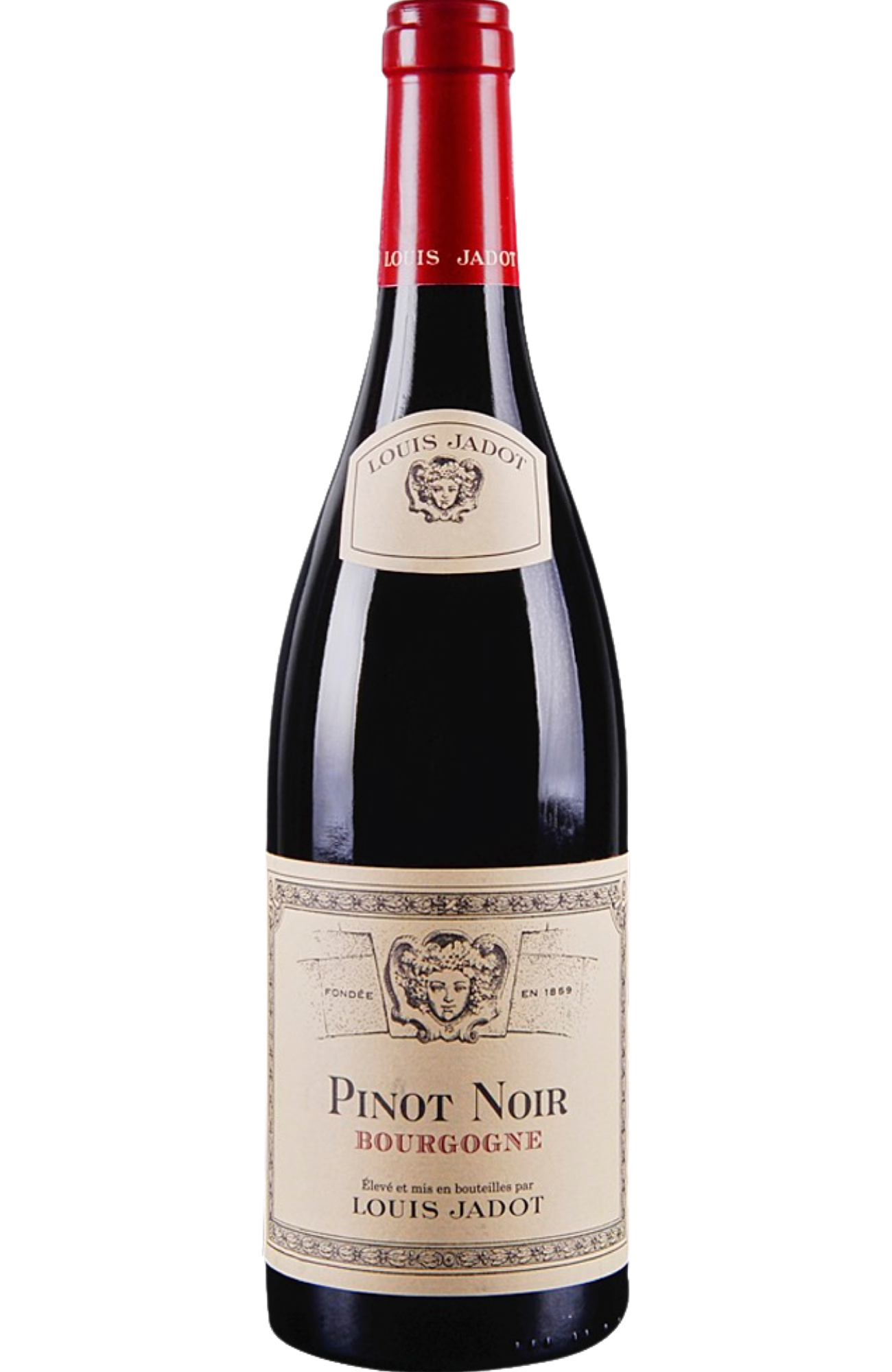 Buy Louis Jadot - Bourgogne Pinot Noir 75cl at Spades Wines