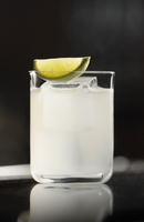 Lehmann - Rio Cocktail Glasses 30cl x 6