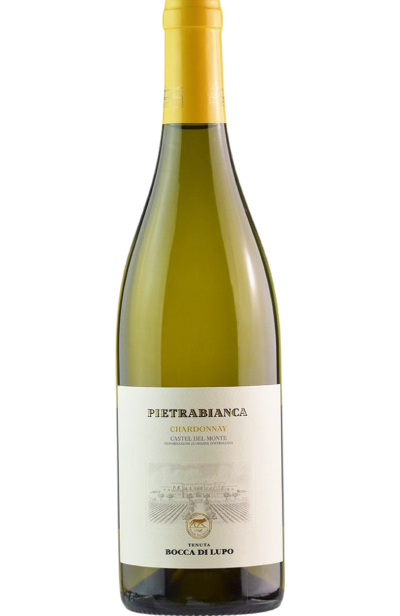 Bocca Di Lupo - Pietra Bianca Chardonnay 75cl from Spades Wines & Spirits. This elegant Italian Chardonnay from the heart of Sicily offers aromas of ripe citrus, white peach, and subtle floral notes. On the palate, it is fresh and well-balanced, with a smooth texture and crisp acidity that make it incredibly versatile. Perfect for pairing with seafood, roasted chicken, or creamy pasta dishes, Pietra Bianca is a refined expression of Sicily's terroir.