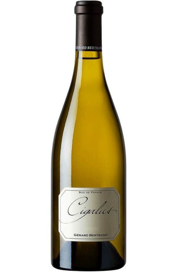 Gerard Bertrand Cigalus Blanc 75cl bottle from Spades Wines & Spirits. A sophisticated white wine from the Languedoc region of France, crafted from a blend of Chardonnay, Viognier, and Sauvignon Blanc grapes. This wine presents bright aromas of citrus, peach, and floral notes, with a creamy texture and vibrant acidity on the palate. The finish is fresh and elegant, making it an excellent choice for pairing with grilled seafood, white meats, and creamy pasta dishes.